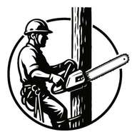 Dages Services logo — custom website for a Plant City tree service